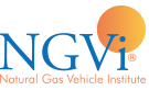 NGVi Logo